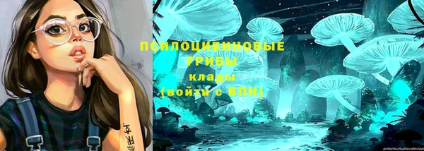 стаф Верхнеуральск