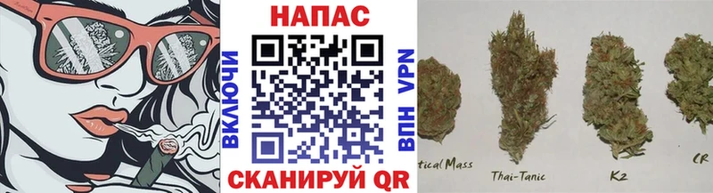 Бошки марихуана THC 21%  Севастополь 